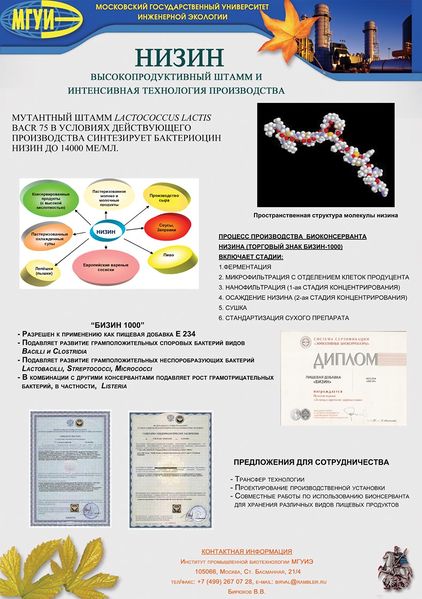 Файл:2-Бизин-2008 min.jpg