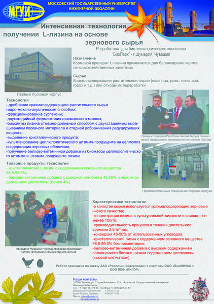 Файл:Lisin min.jpg