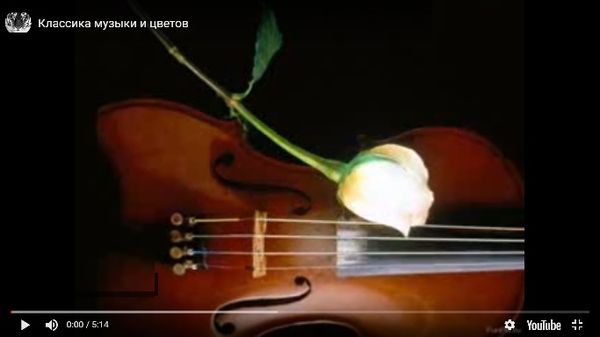 Музыка и цветы.jpg